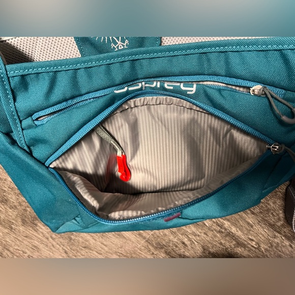 OSPREY Teal TABLET Device CROSSBODY Messenger BAG - Picture 9 of 16